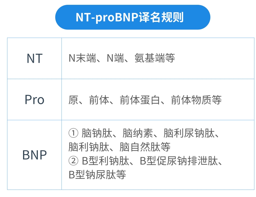 NT-proBNP有幾個中文譯名?——國賽生物第二代NT-proBNP、CK-MB試劑獲證上市 NT-proBNP有幾個中文譯名?——國賽生物第二代NT-proBNP、CK-MB試劑獲證上市