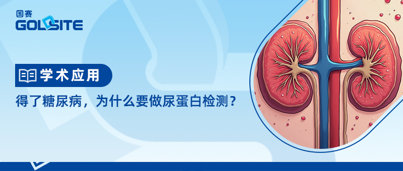 得了糖尿病，為什么要做尿蛋白檢測？