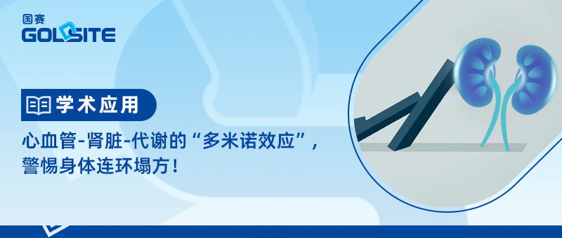 心血管-腎臟-代謝的“多米諾效應”，警惕身體連環塌方！